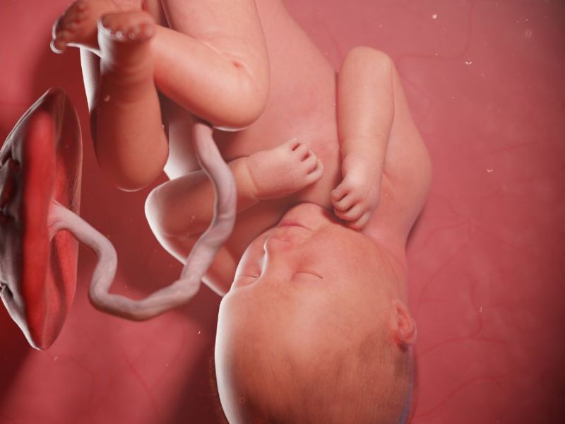 Quanti movimenti fetali al&nbsp;giorno?