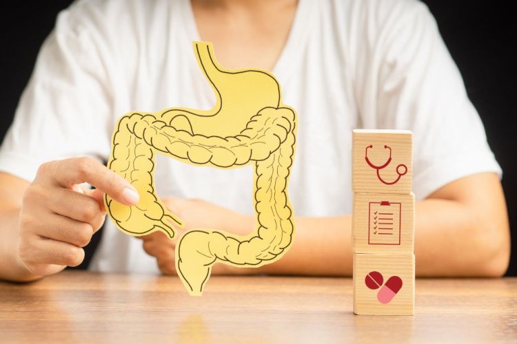 dolore-pelvico-cronico-e-cistiti-ricorrenti-quanto-incide-il-microbiota