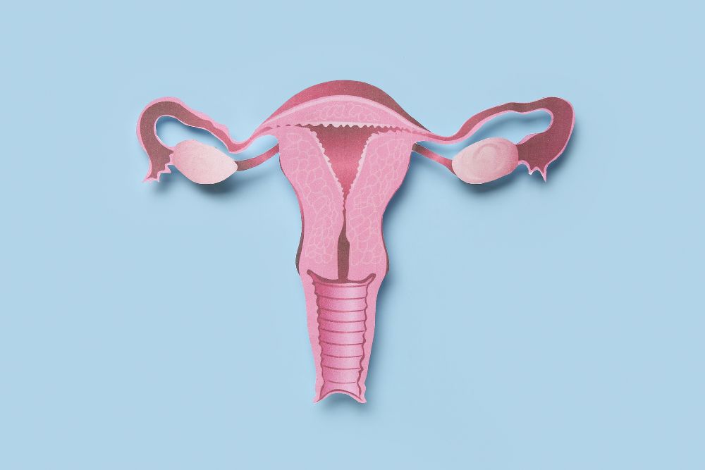 isterectomia-cos-e-e-riabilitazione-pre-e-post-intervento