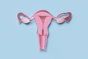 isterectomia-cos-e-e-riabilitazione-pre-e-post-intervento