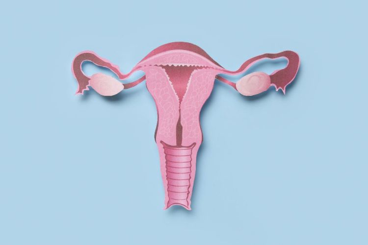 isterectomia-cos-e-e-riabilitazione-pre-e-post-intervento